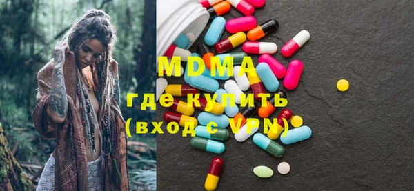 молекула духа Богданович