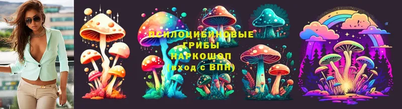 Псилоцибиновые грибы Cubensis  дарнет шоп  Ишимбай 